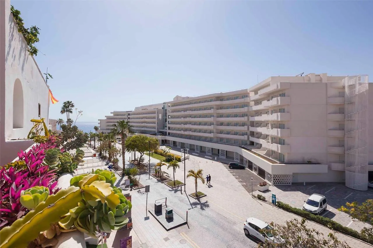 Apartamento Sara en Torviscas Bajo Apartamento Costa Adeje   Costa Adeje (Tenerife)